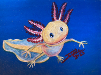 Axolotl copyright Joanne Howard 2025