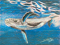 Humpback Whale copyright Joanne Howard 2024